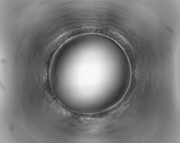 X0000090960821200708091353
