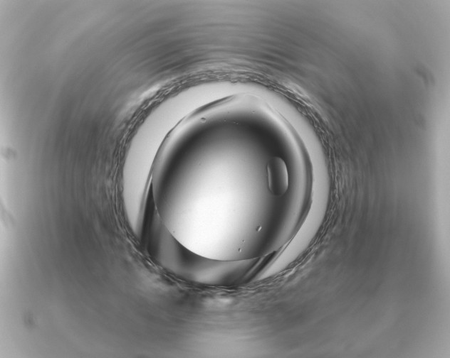 X0000090960822200708091353