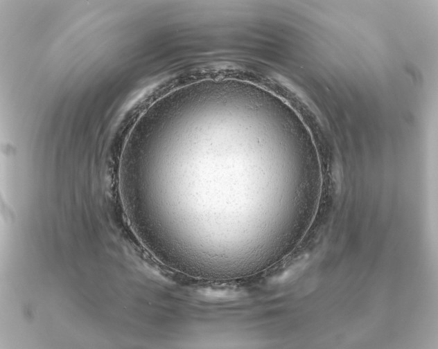X0000090960823200708091353