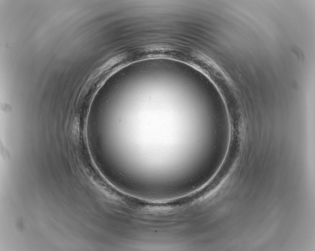 X0000090960825200708091353