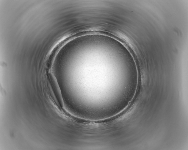 X0000090960827200708091353