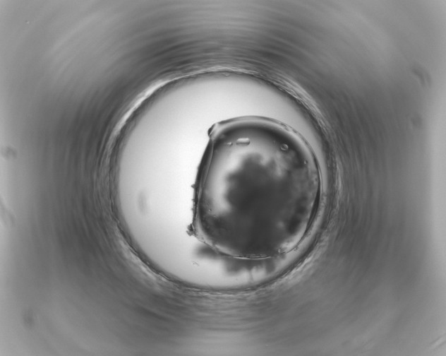 X0000090960828200708091353