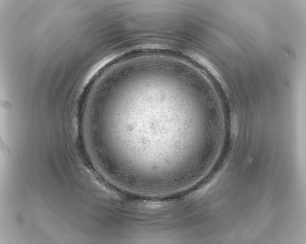 X0000090960829200708091353