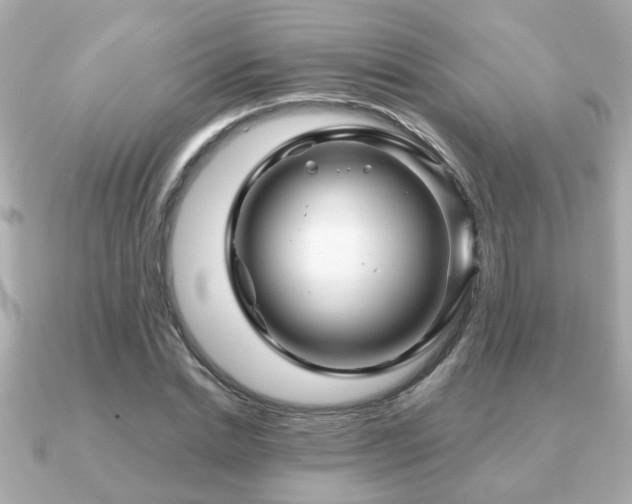 X0000090960830200708091353