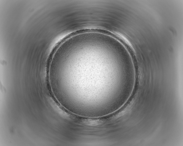 X0000090960831200708091353