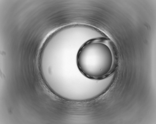 X0000090960832200708091353