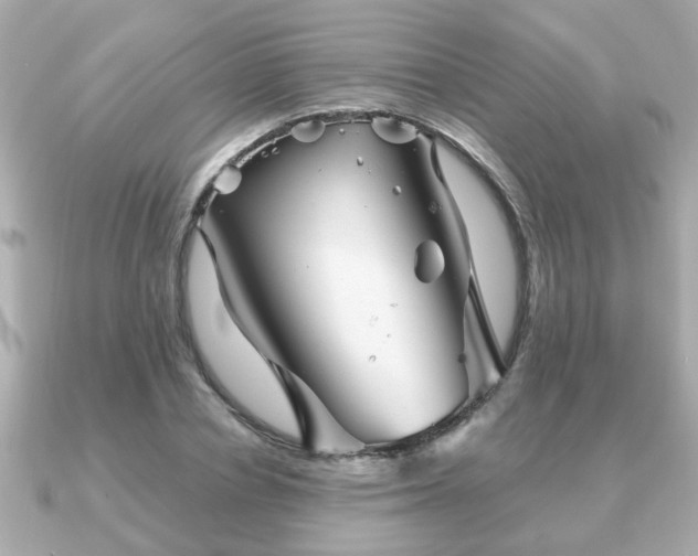 X0000090960834200708091353