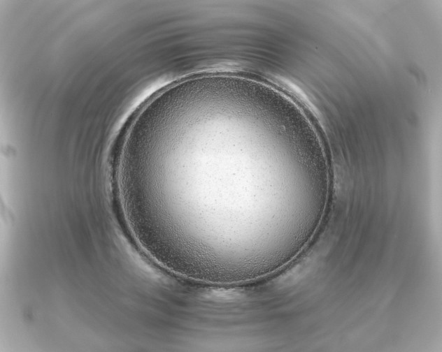 X0000090960835200708091353