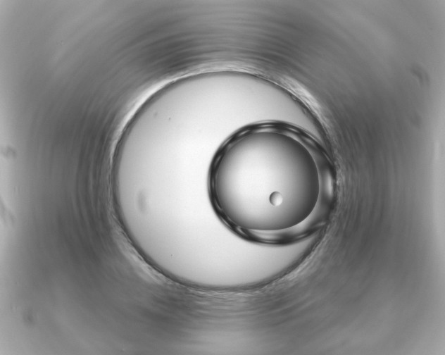 X0000090960836200708091353