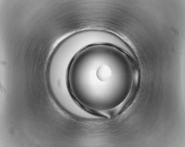 X0000090960838200708091353