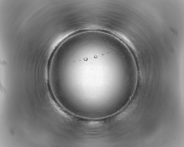 X0000090960839200708091353