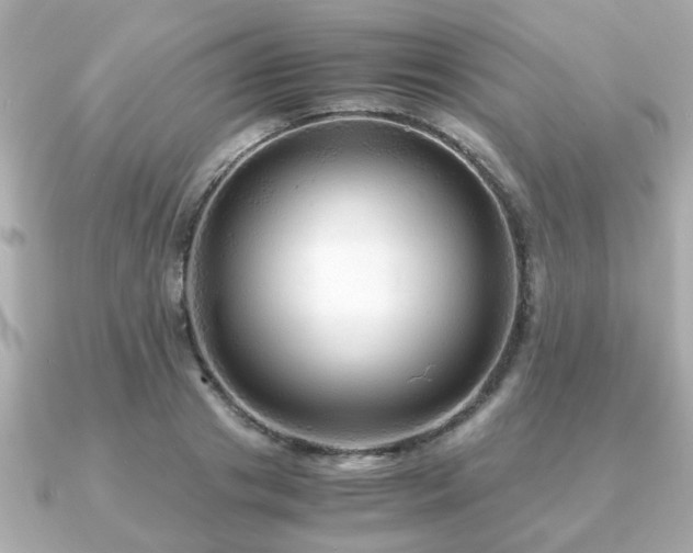 X0000090960841200708091353