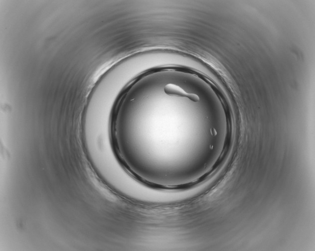 X0000090960842200708091353
