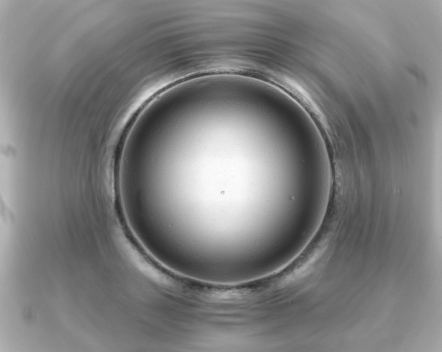 X0000090960843200708091353