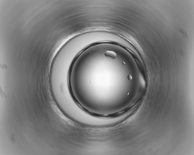 X0000090960844200708091353