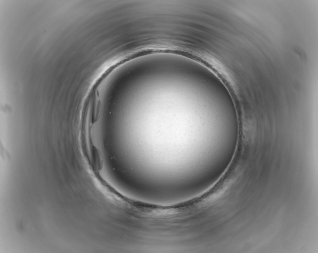 X0000090960845200708091353