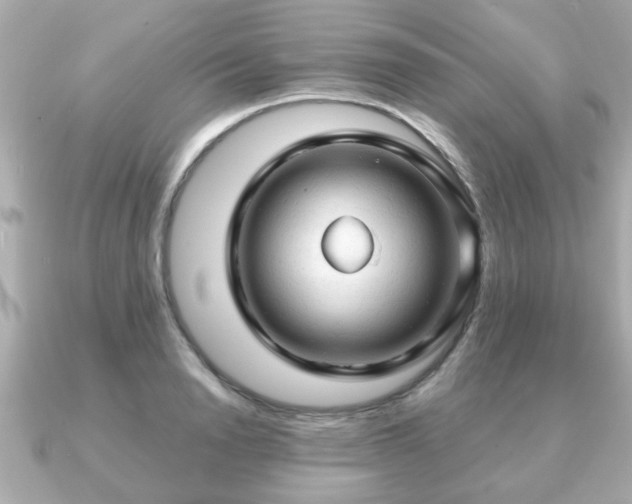 X0000090960846200708091353