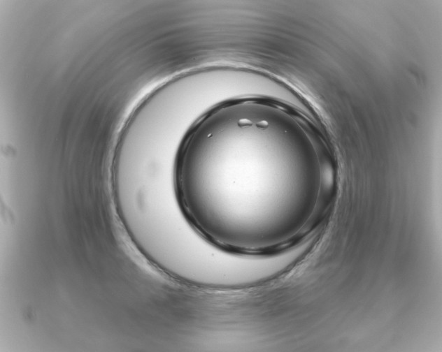 X0000090960848200708091353