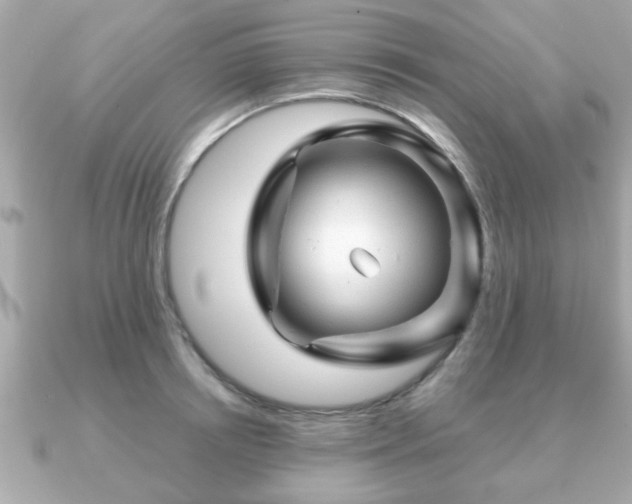 X0000090960850200708091353