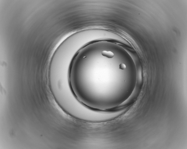 X0000090960852200708091353