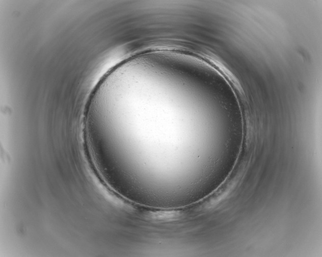 X0000090960853200708091353