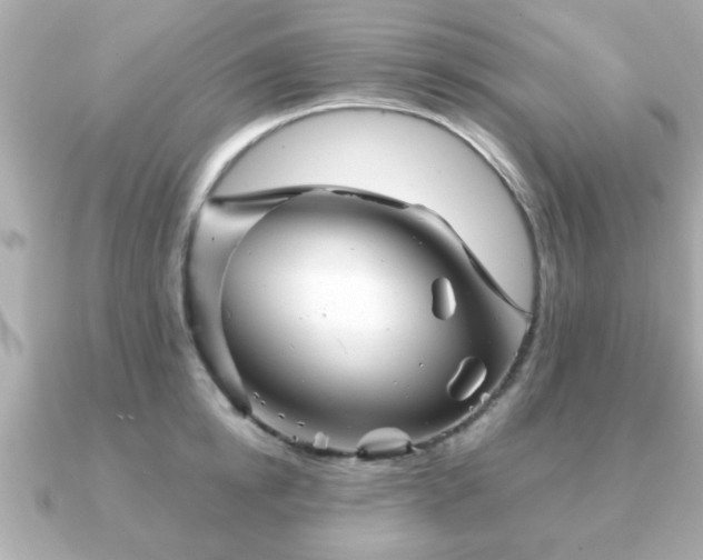 X0000090960854200708091353