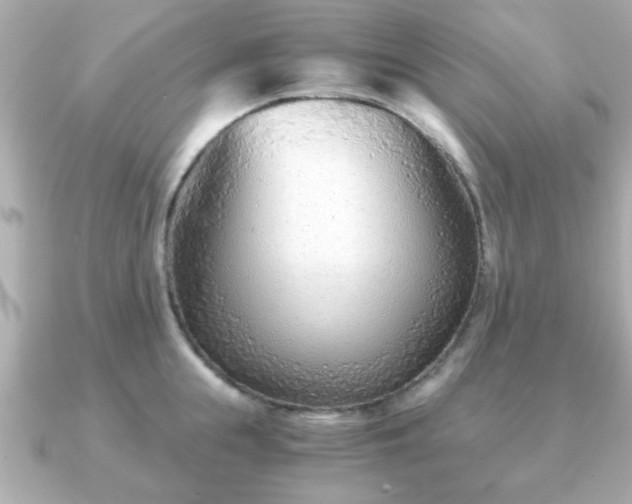 X0000090960855200708091353