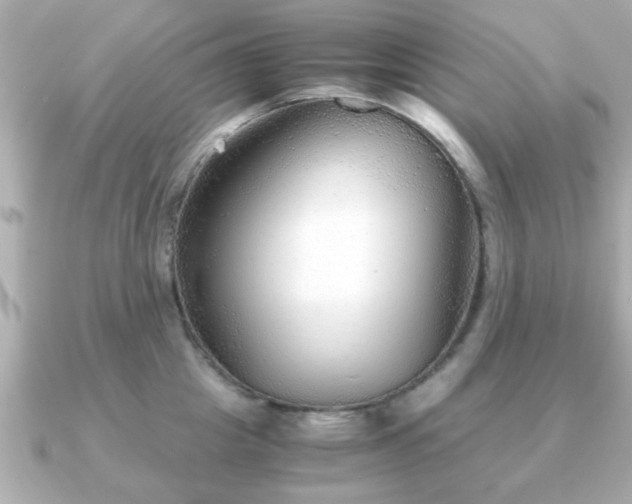 X0000090960857200708091353