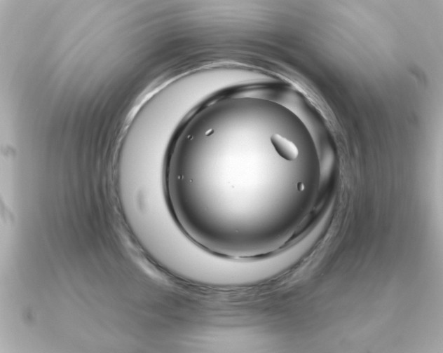X0000090960858200708091353