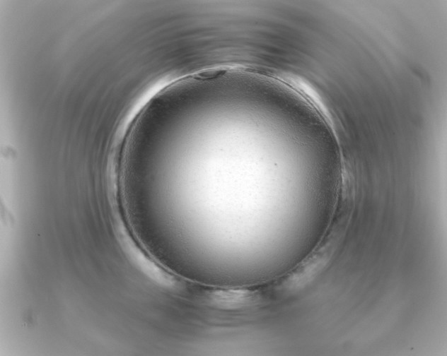 X0000090960859200708091353