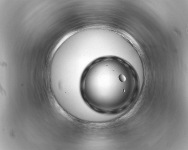 X0000090960860200708091353