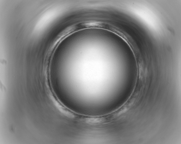 X0000090960861200708091353