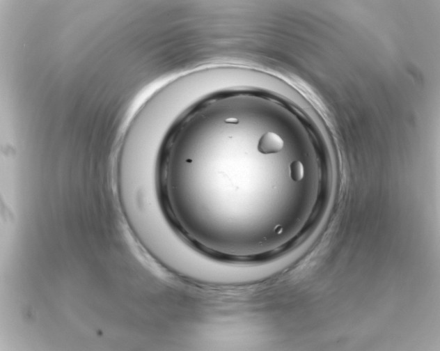X0000090960862200708091353