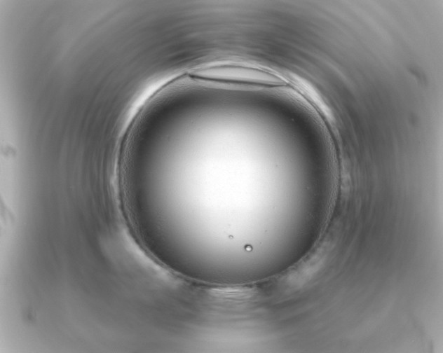 X0000090960863200708091353