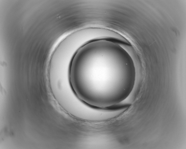 X0000090960864200708091353