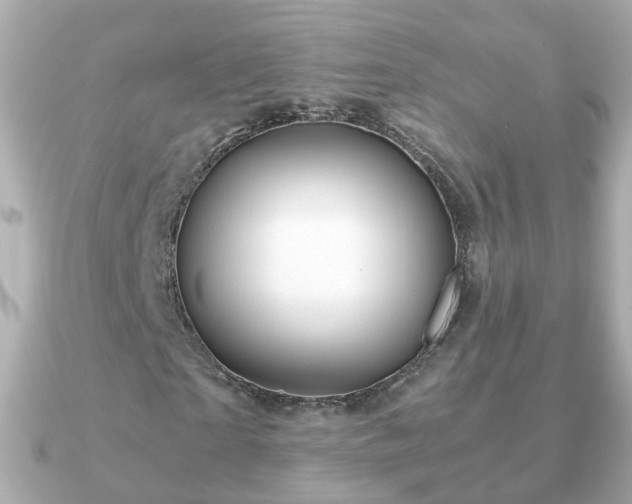 X0000090960865200708091353