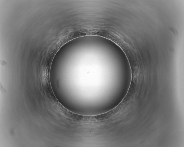 X0000090960866200708091353