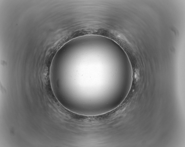 X0000090960867200708091353