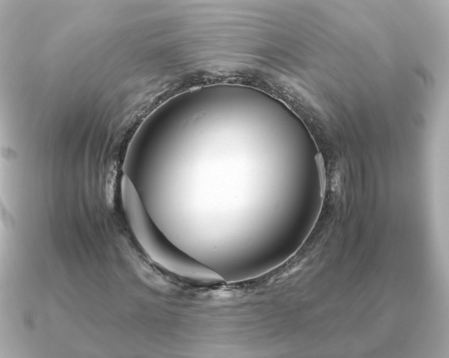 X0000090960868200708091353
