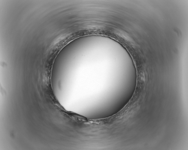 X0000090960869200708091353