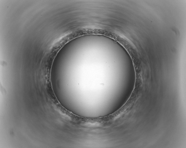X0000090960870200708091353