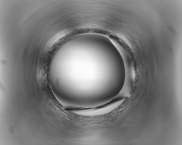 X0000090960872200708091353