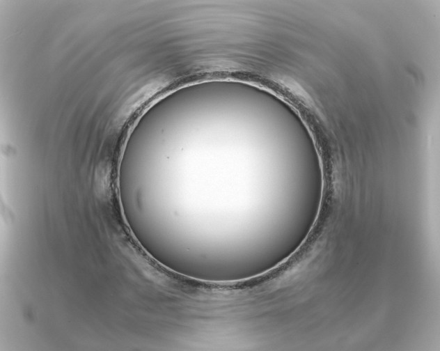 X0000090960873200708091353