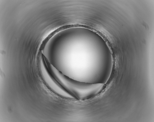 X0000090960876200708091353