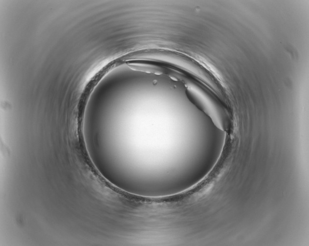 X0000090960877200708091353