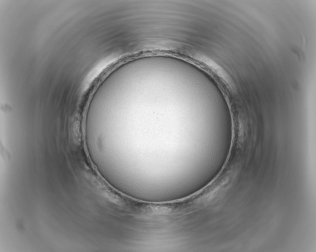 X0000090960878200708091352