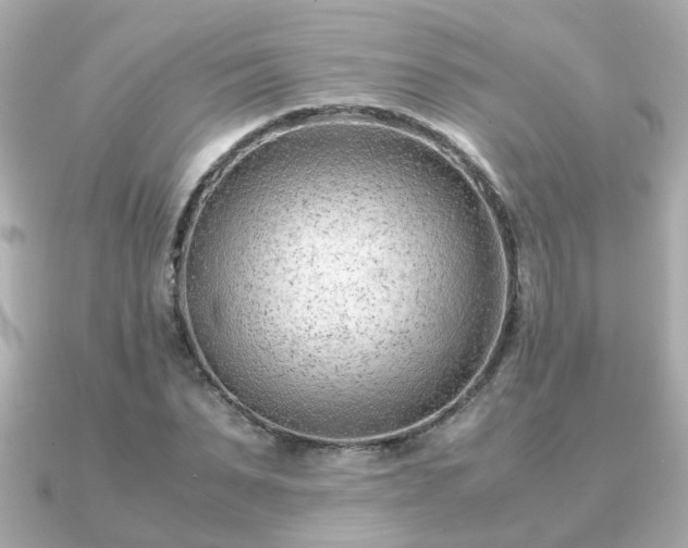 X0000090960879200708091352