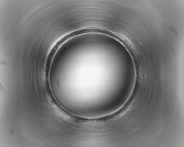 X0000090960880200708091352
