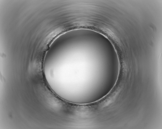 X0000090960881200708091352