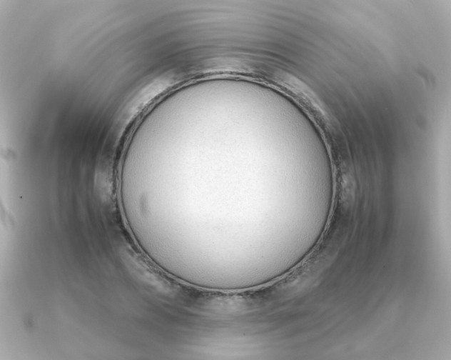 X0000090960882200708091352